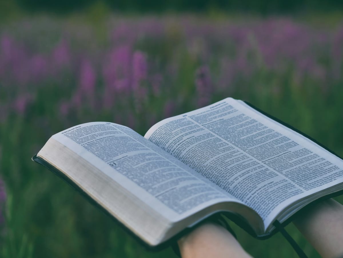 The Call to Wisdom and Salvation