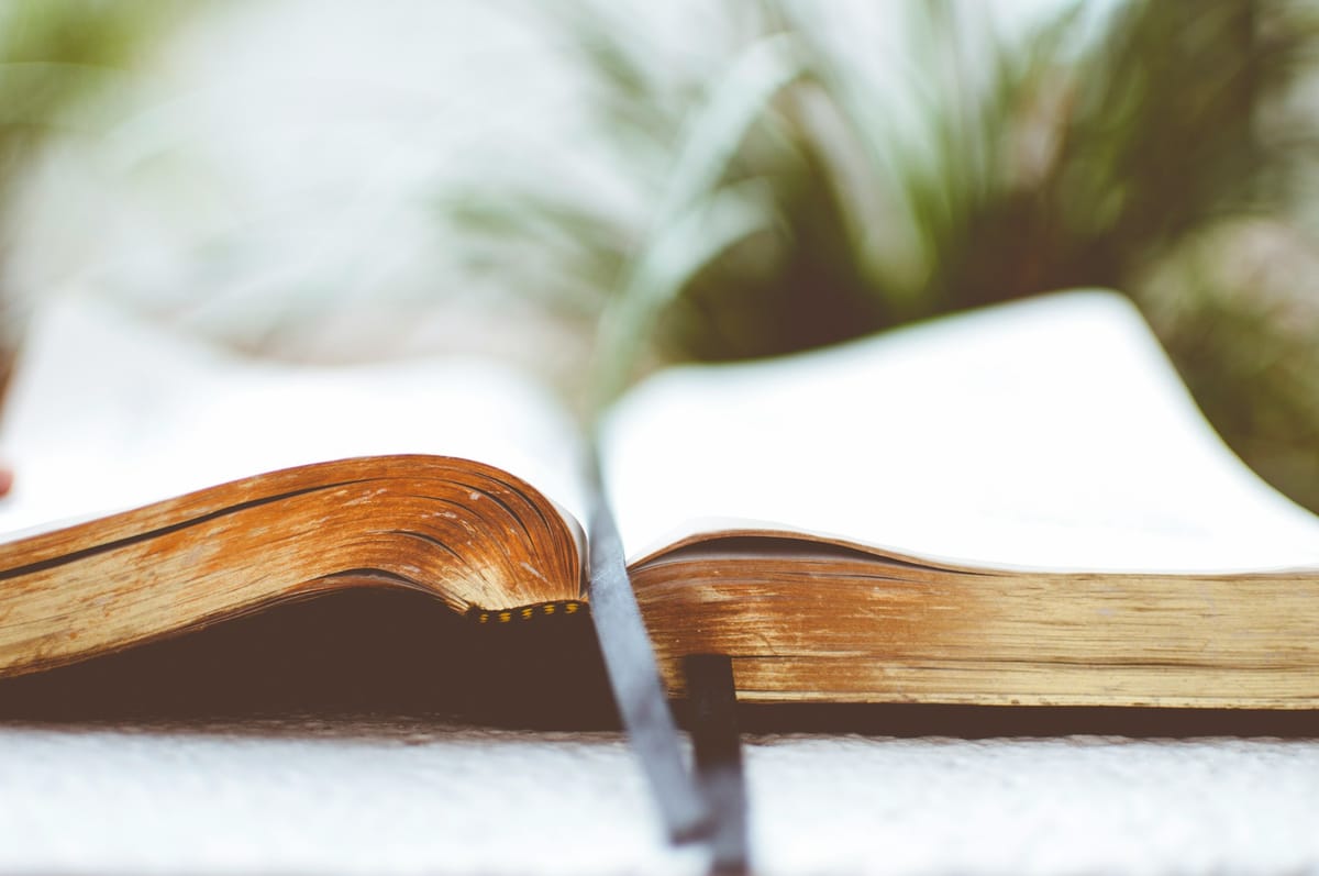 The Wisdom of the Cross