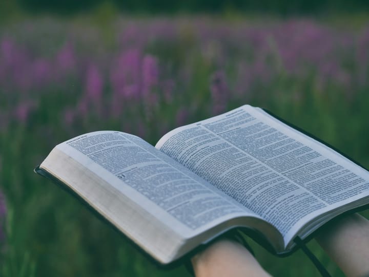 The Call to Wisdom and Salvation