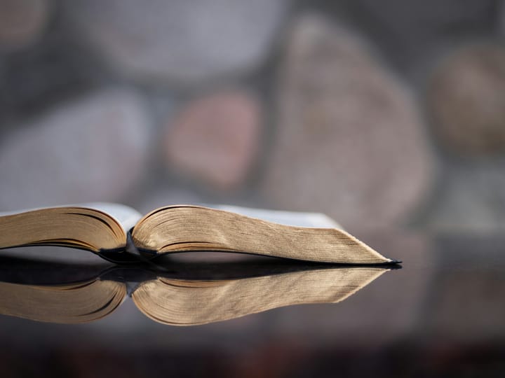 Guarding Our Words: A Call to Edification