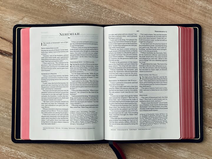 The Power of Our Words