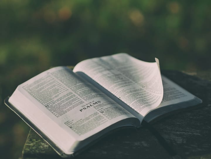 The Beauty of Meekness and Temperance